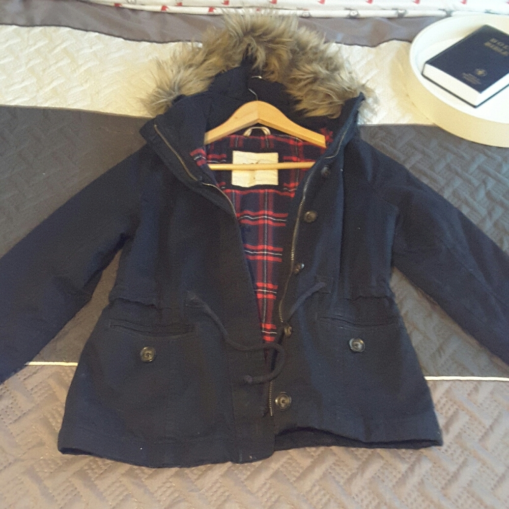 Hollister winter coat